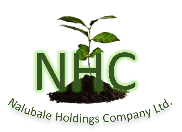 Nalubale Holdings Company LTD