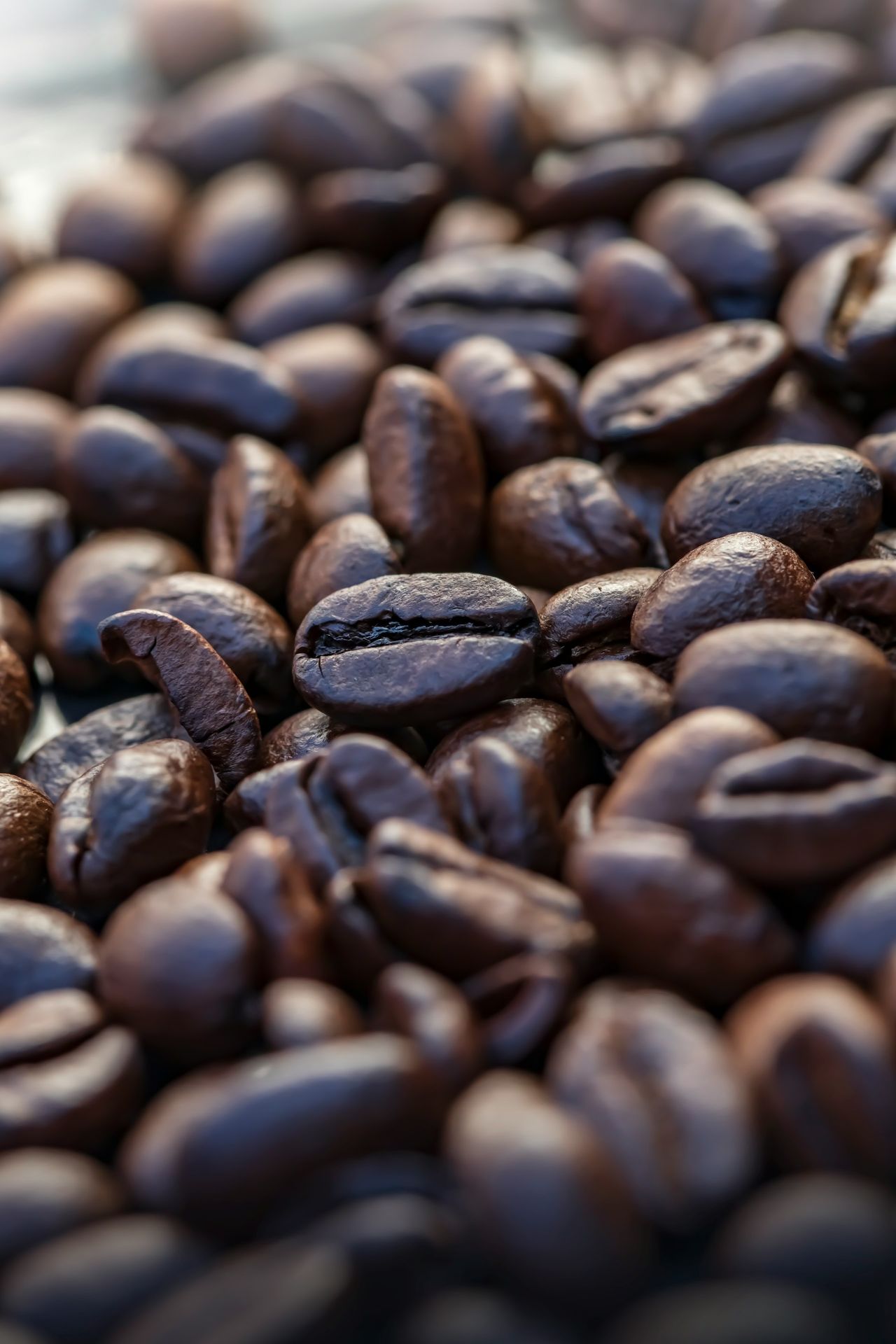 coffee beans in close up photography