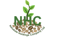 NalubaleHoldings